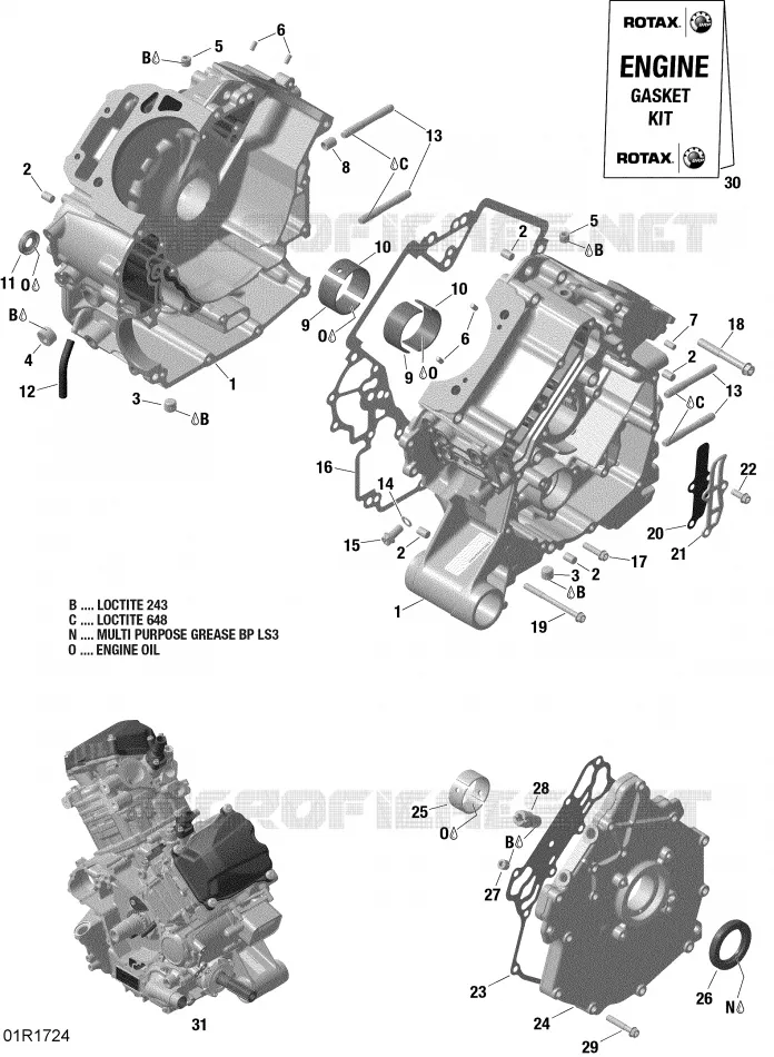 CARTER - HD10