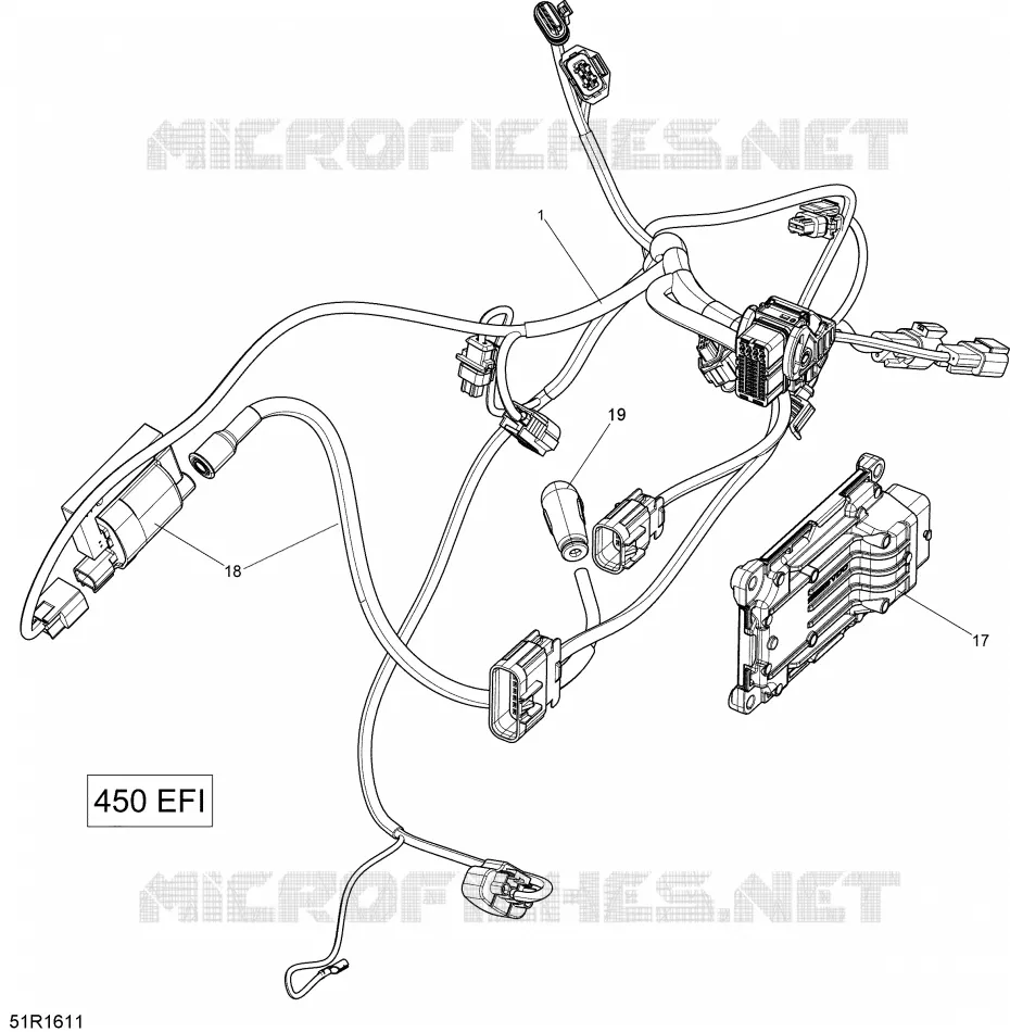CâBLAGE MOTEUR ET MODULE ÉLECTRONIQUE - 450 EFI