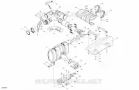 Motor - Auspuff