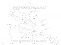ANSAUG