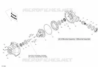 VORDERER DIFFERENTIAL
