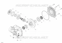 HINTERER DIFFERENTIAL