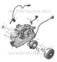 01- ROTAX - MAGNETO AND ELEKTRISCHER KABELBAUM STARTER