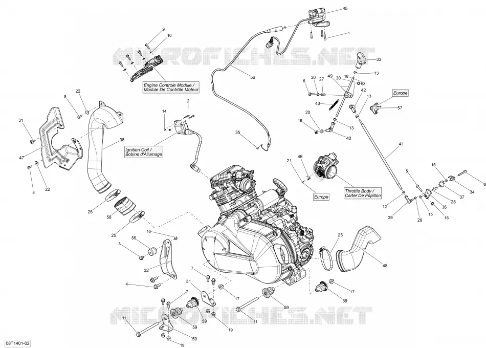 MOTEUR