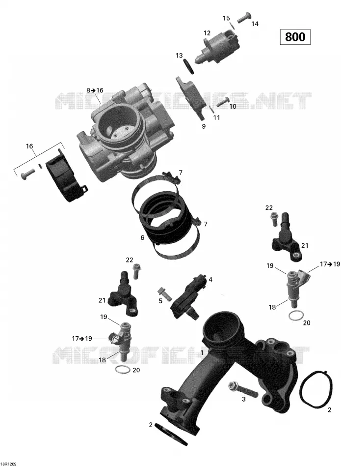 Ansaugkrümmer und Einspritzanlage