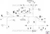 08- ELEKTRISCHER KABELBAUM - MAIN HARNESS - 710008896