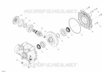 HINTERER DIFFERENTIAL