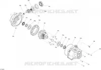 VORDERER DIFFERENTIAL