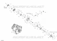 VORDERER DIFFERENTIAL
