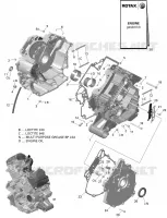 01- ROTAX - CARTER - V2