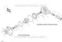 VORDERER DIFFERENTIAL