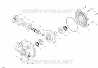 HINTERER DIFFERENTIAL