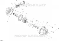 VORDERER DIFFERENTIAL