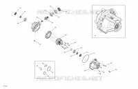 VORDERER DIFFERENTIAL