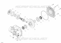 HINTERER DIFFERENTIAL