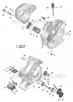 01- ROTAX - LUBRIFICATION DU MOTEUR