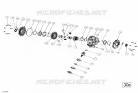 VORDERER DIFFERENTIAL