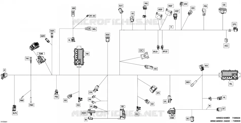 08- ELEKTRISCHER KABELBAUM - MAIN HARNESS - 710009228