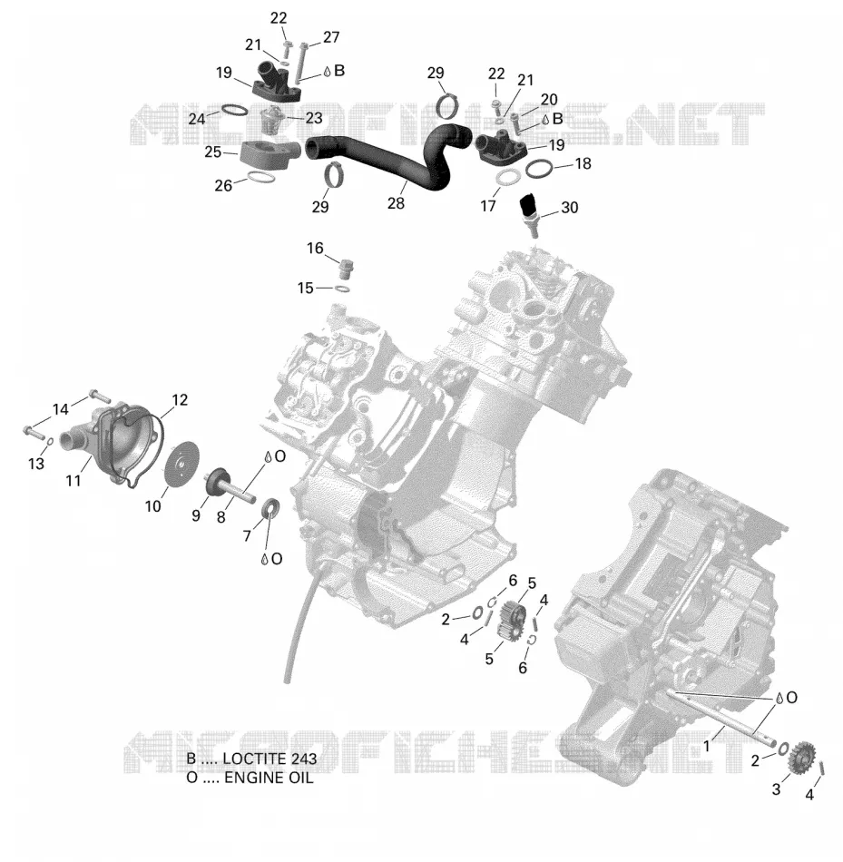 01- ROTAX - REFROIDISSEMENT MOTEUR