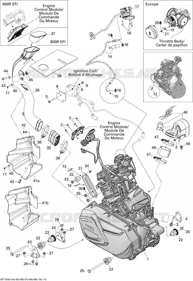 Motor