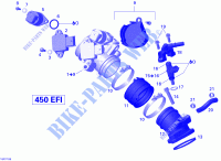 Ansaugkrümmer und Einspritzanlage für Can-Am DS 450 2011