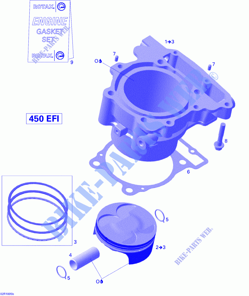 Zylinder und Kolben für Can-Am DS 450 2010