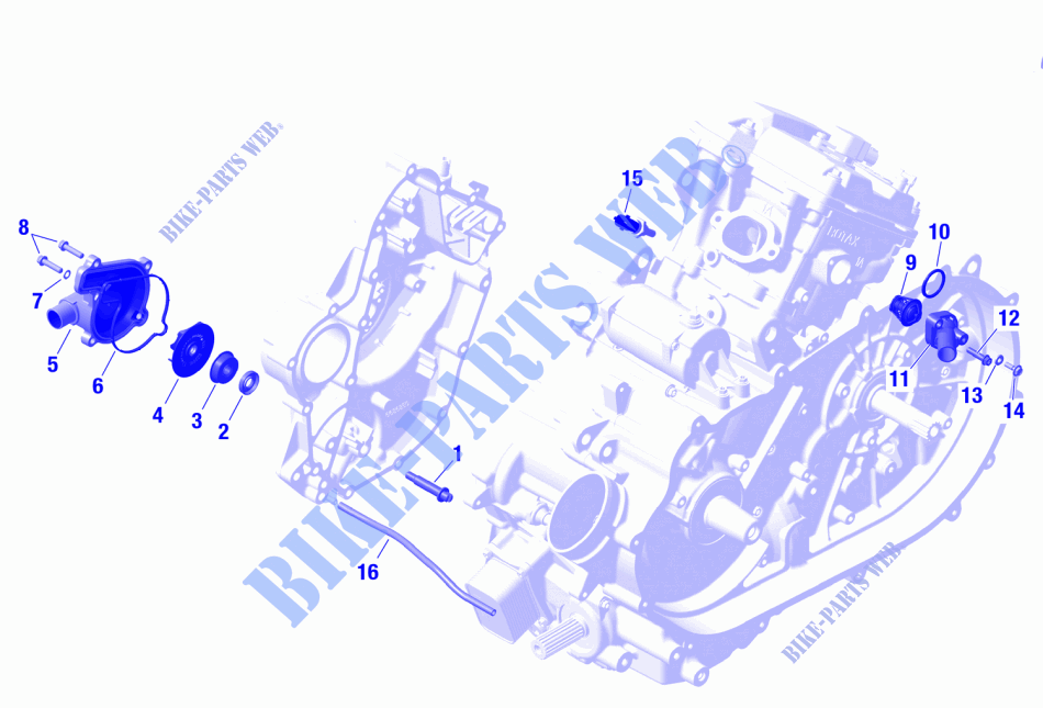 01  ROTAX   Engine Cooling für Can-Am Outlander DPS 700 4X4 2024