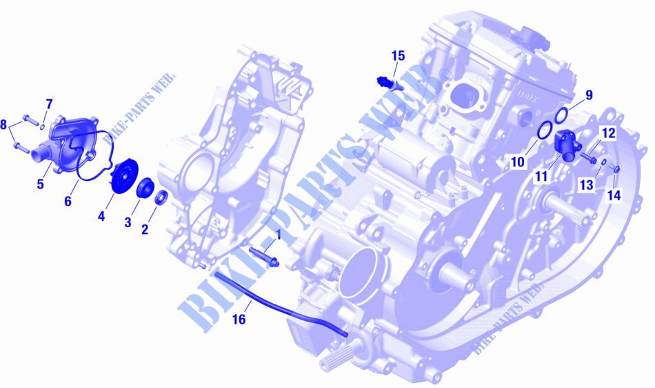 01  ROTAX   Engine Cooling für Can-Am Traxter XU HD7 2024