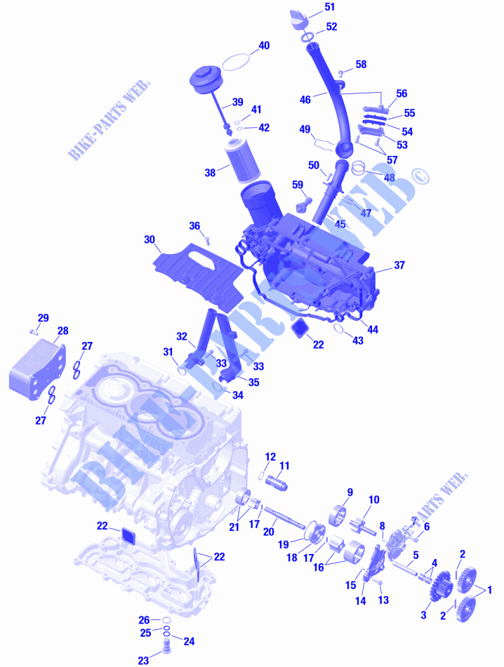 01  ROTAX   Engine Lubrication für Can-Am SPYDER F3 LIMITED 2024