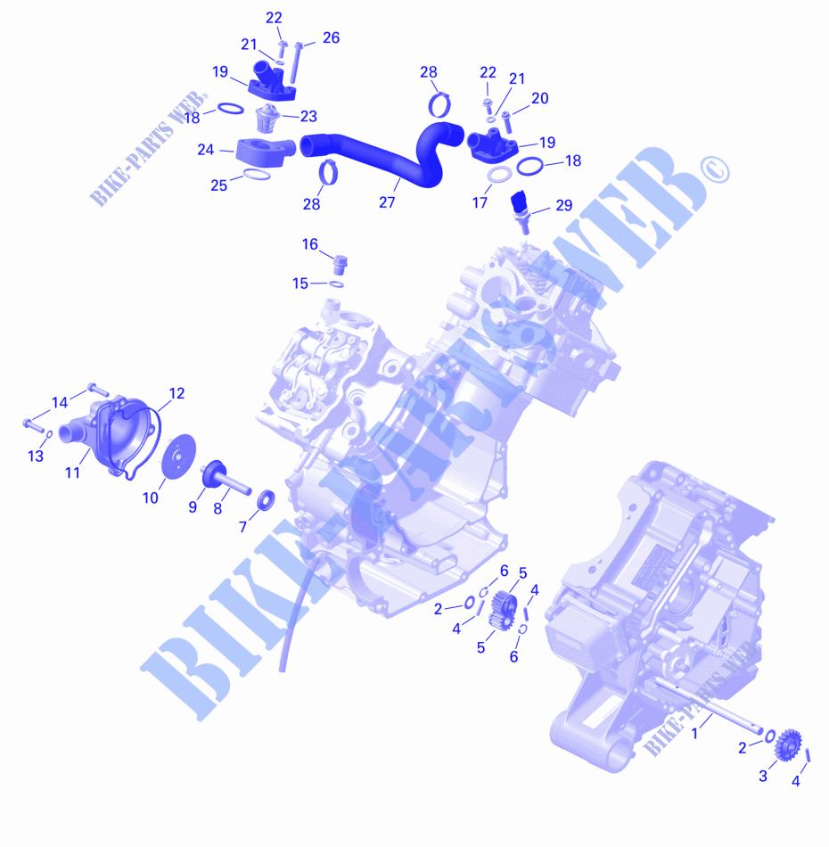 01  ROTAX   Engine Cooling für Can-Am Renegade X XC 650 EFI 2024